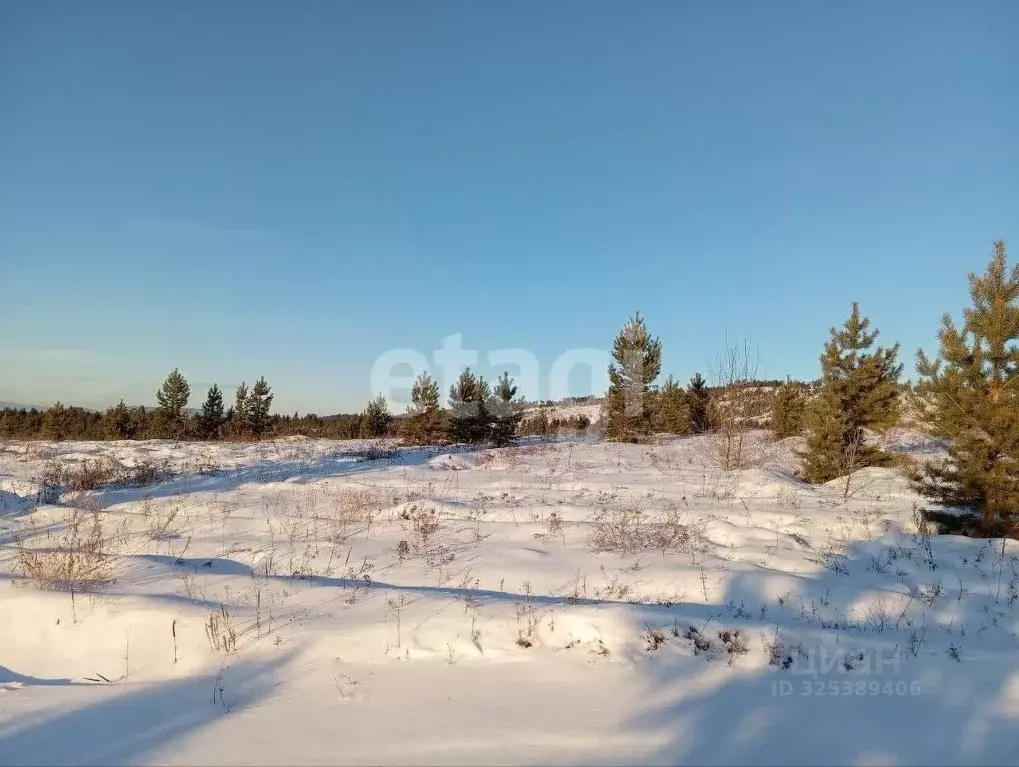 Участок в Бурятия, Тарбагатайский район, Саянтуйское с/пос, с. Нижний ... - Фото 1