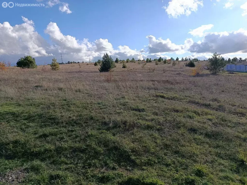 Участок в Пионерское, Луговая улица, 24 (7 м) - Фото 2