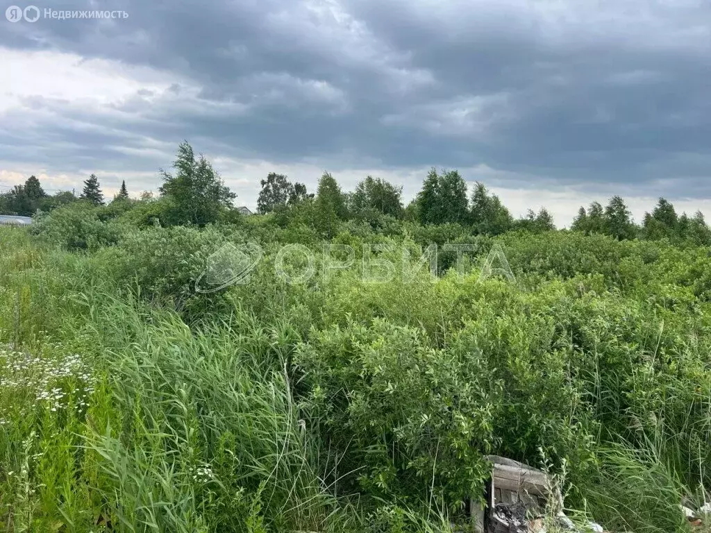 Участок в Тюмень, СНТ Ягодное (12.55 м) - Фото 0