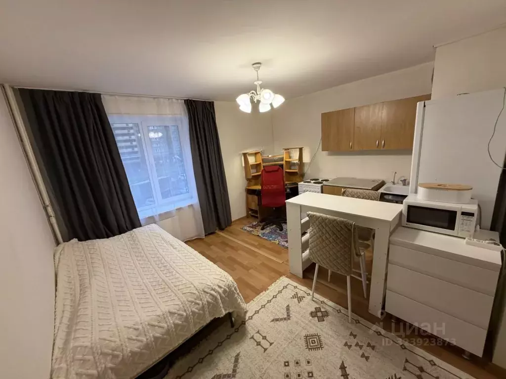 Студия Санкт-Петербург пос. Парголово, ул. Федора Абрамова, 16к1 (29.0 ... - Фото 1