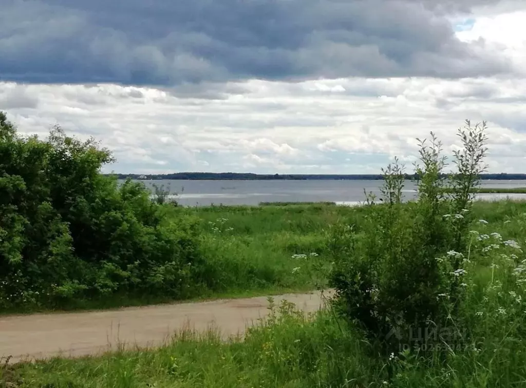 Участок в Тверская область, Кашинский городской округ, д. Перетрясово  ... - Фото 0