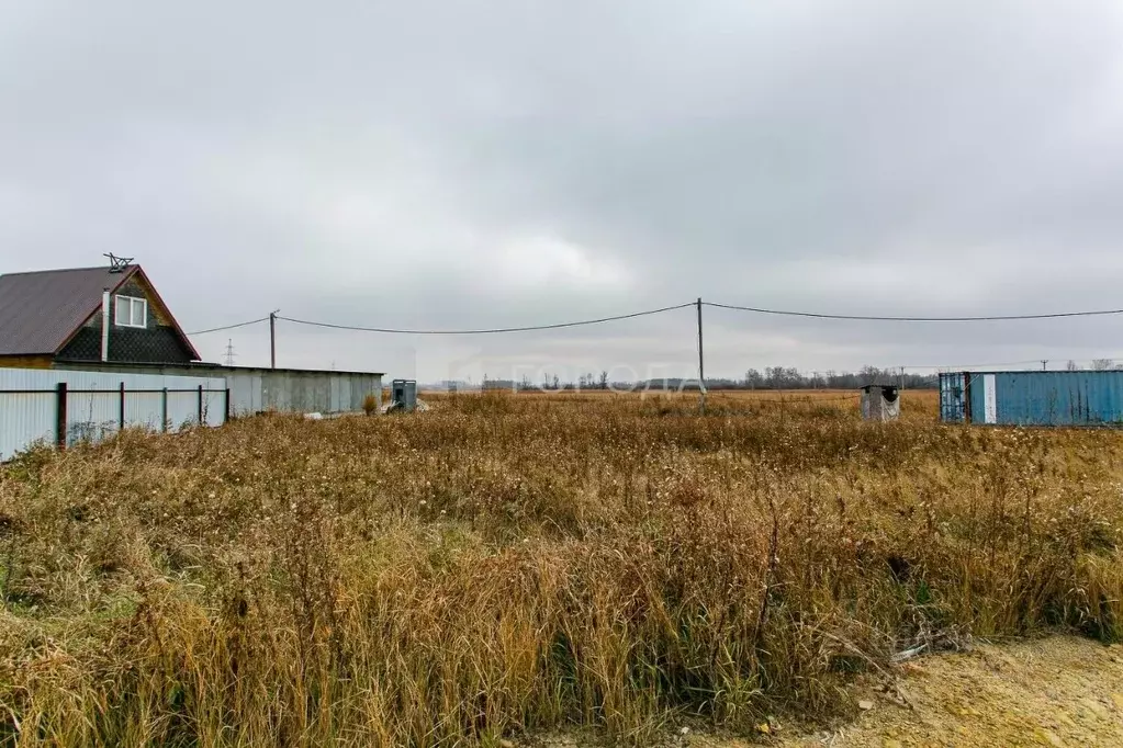 Участок в Новосибирская область, Новосибирский район, Толмачевский ... - Фото 2