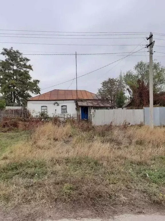 Дом в Воронежская область, Хохольский район, с. Петино  (28 м) - Фото 0