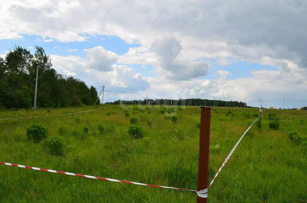 Участок в Судиславский район, Расловское сельское поселение, деревня ... - Фото 0