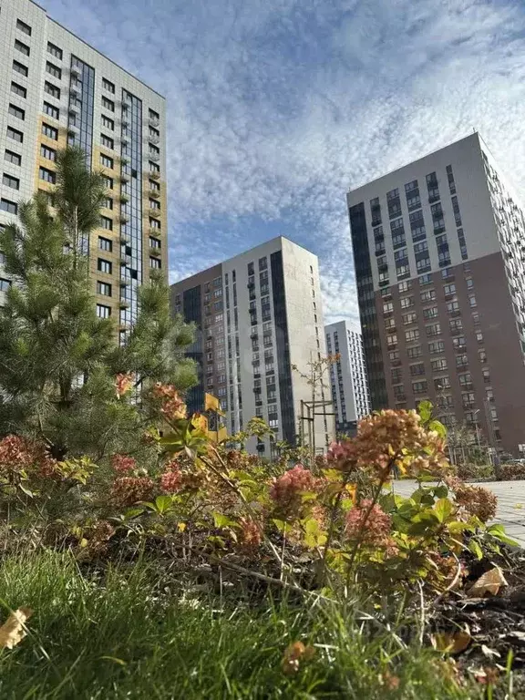 1-к кв. Воронежская область, Воронеж ул. Пескова, 3 (33.4 м) - Фото 1