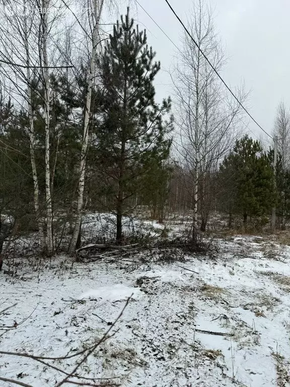 Участок в городской округ Владимир, деревня Никулино, Извилистая улица ... - Фото 0