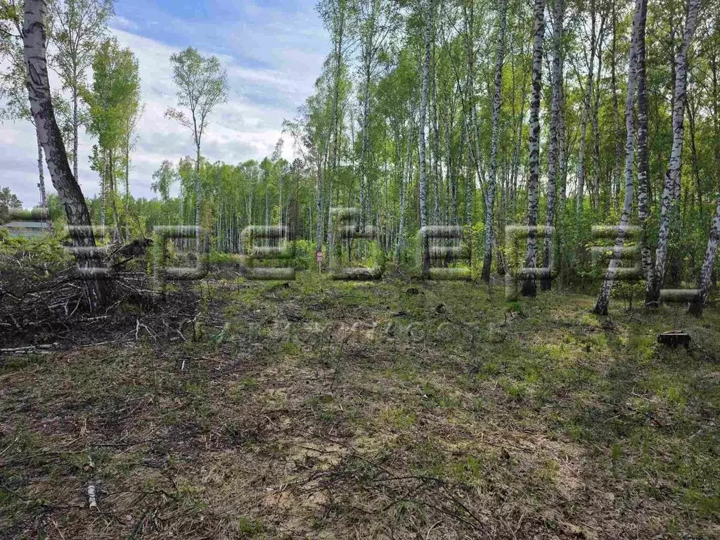 Участок в Красноярский край, Большая Мурта пгт  (20.0 сот.) - Фото 2