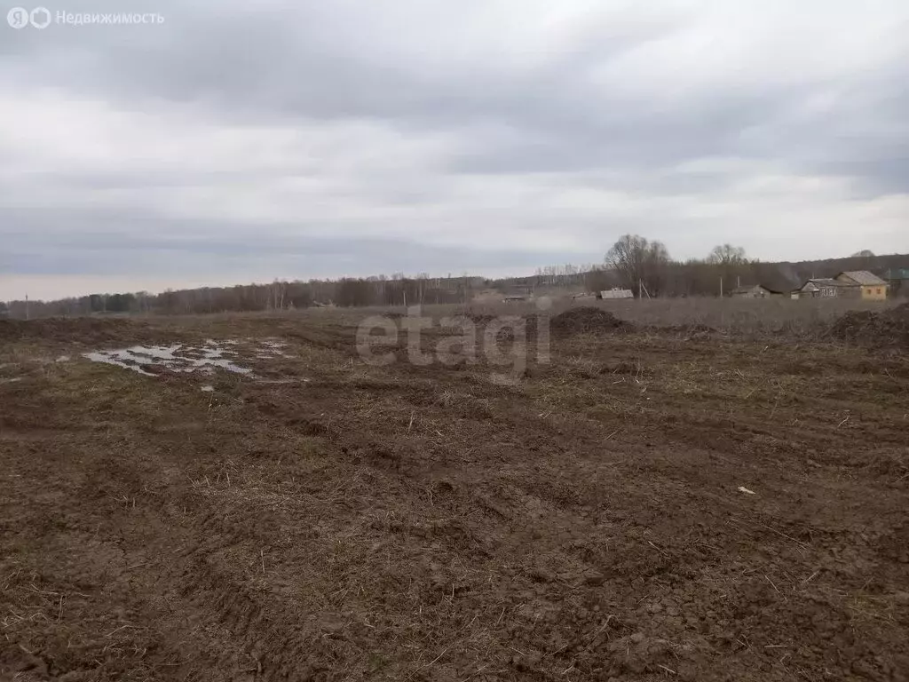 Участок в Зеленодольский район, Айшинское сельское поселение, село ... - Фото 0