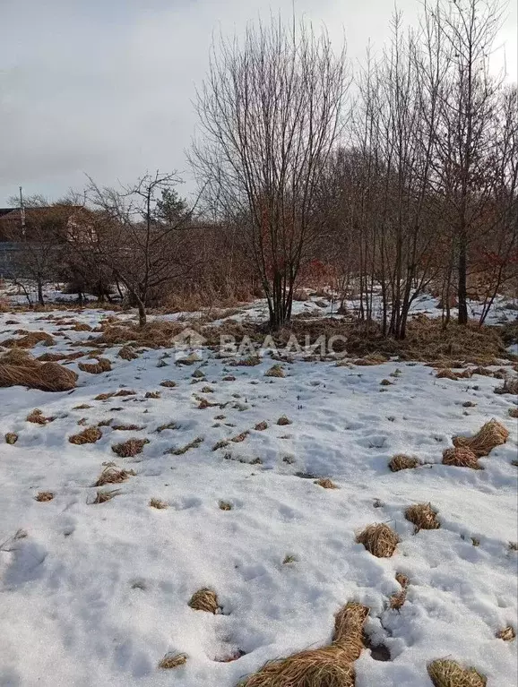 Участок в Калининградская область, Багратионовский муниципальный ... - Фото 2