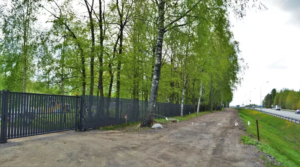 Участок в Ленинградская область, Всеволожский район, Агалатовское ... - Фото 1