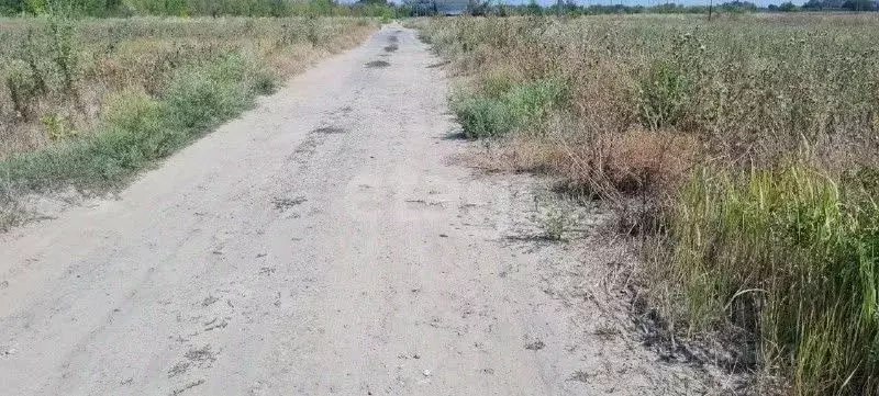 Участок в Ростовская область, Аксайский район, Мишкинское с/пос, Киров ... - Фото 1
