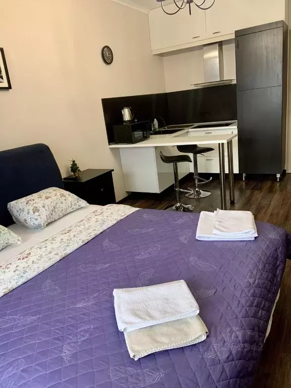 Студия Санкт-Петербург Пулковское ш., 14Г (26.0 м) - Фото 1