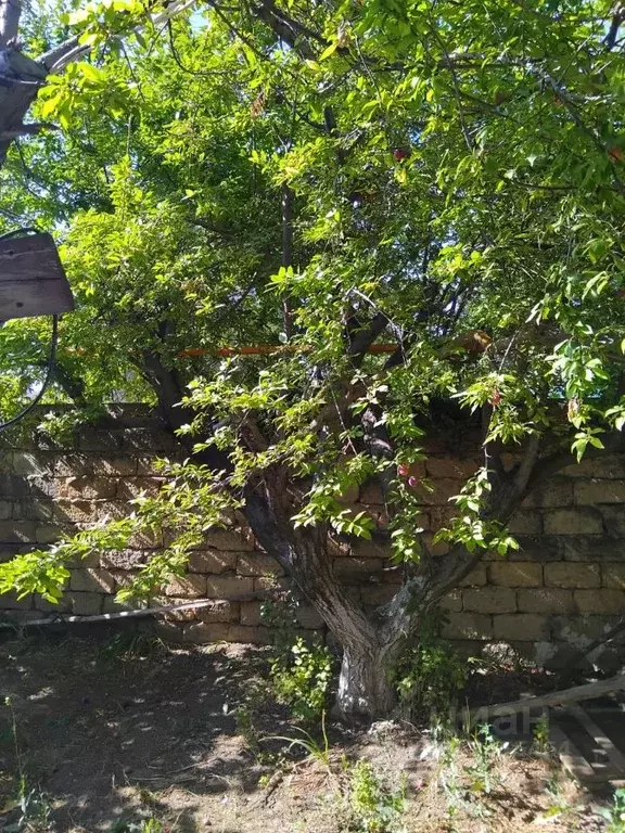 Дом в Крым, Сакский район, с. Суворовское  (112 м) - Фото 1