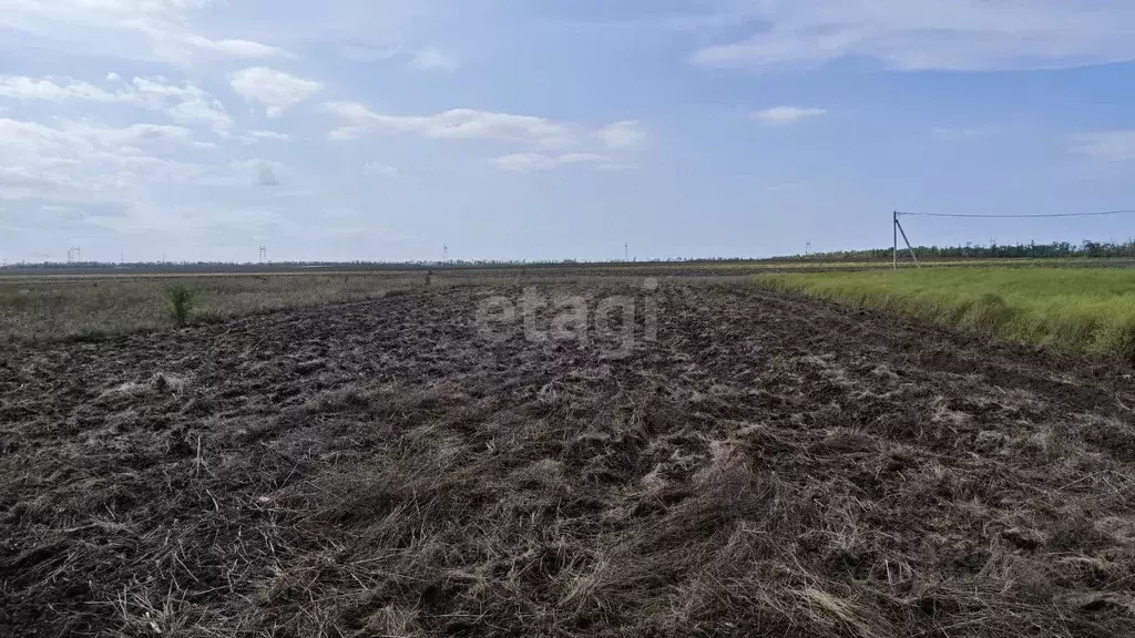 Участок в Краснодарский край, Анапа муниципальный округ, Розы ... - Фото 1