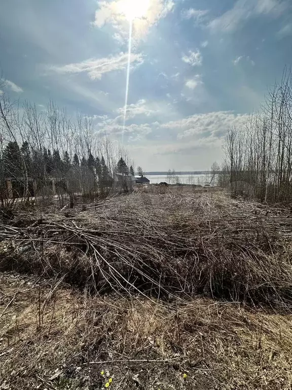 Участок 16,4 сот. (СНТ, ДНП) - Фото 0