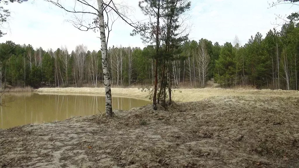 Участок в Пенза, садовое дачное товарищество Романтики (4 м) - Фото 0