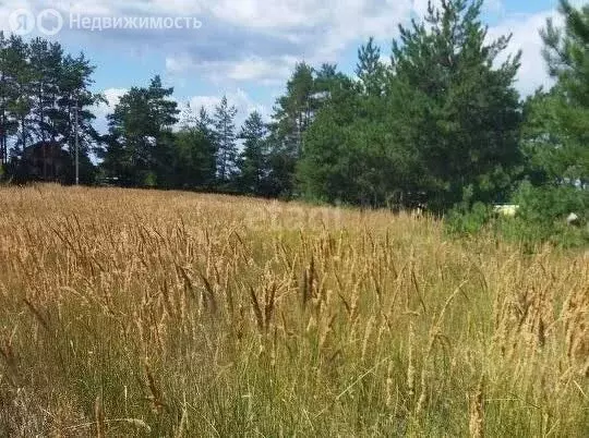 Участок в село Новоживотинное, Дорожная улица (12.5 м) - Фото 0