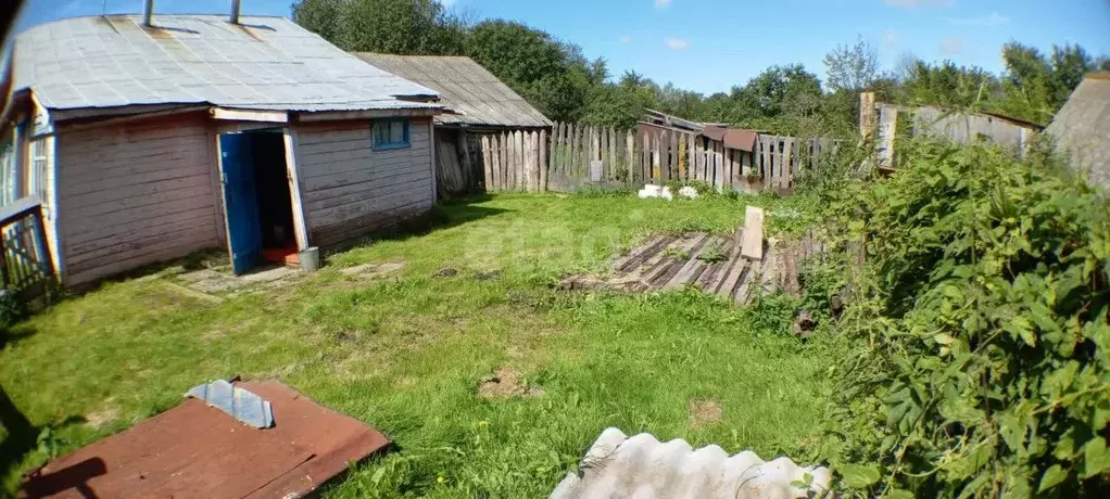 Участок в Нижегородская область, Богородский муниципальный округ, с. ... - Фото 1