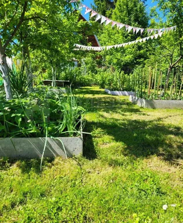 Дом в Новгородская область, Боровичи Лесное СНТ, 82 (36 м) - Фото 1