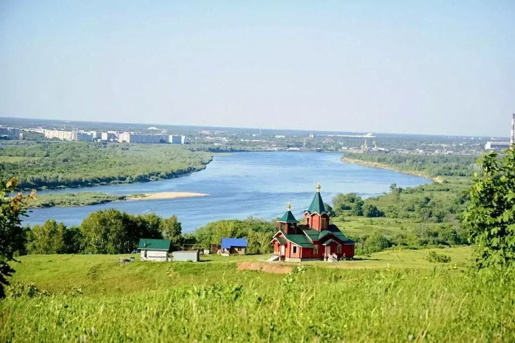 Участок в Нижегородская область, Богородский район, д. Трестьяны  ... - Фото 1