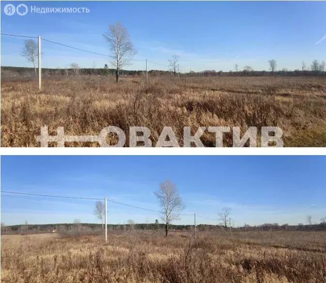 Участок в Кубовинский сельсовет, СНТ Сады Приобья, 11-улица, 1 (7.77 ... - Фото 0