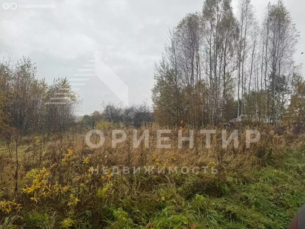 Участок в Московская область, Талдомский городской округ, деревня ... - Фото 2