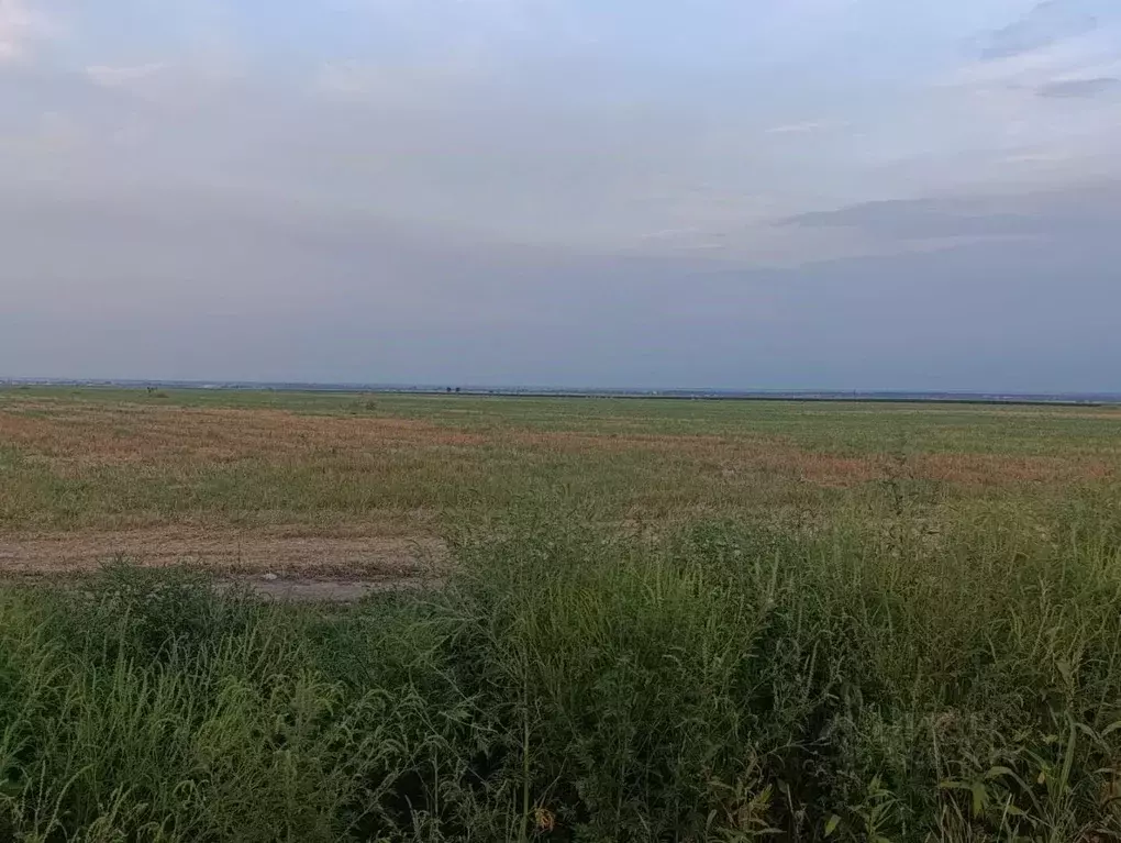 Участок в Кабардино-Балкария, Чегем Южный мкр,  (4.0 га.) - Фото 2
