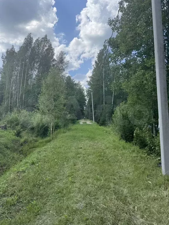 Участок 12 сот. (СНТ, ДНП) - Фото 0