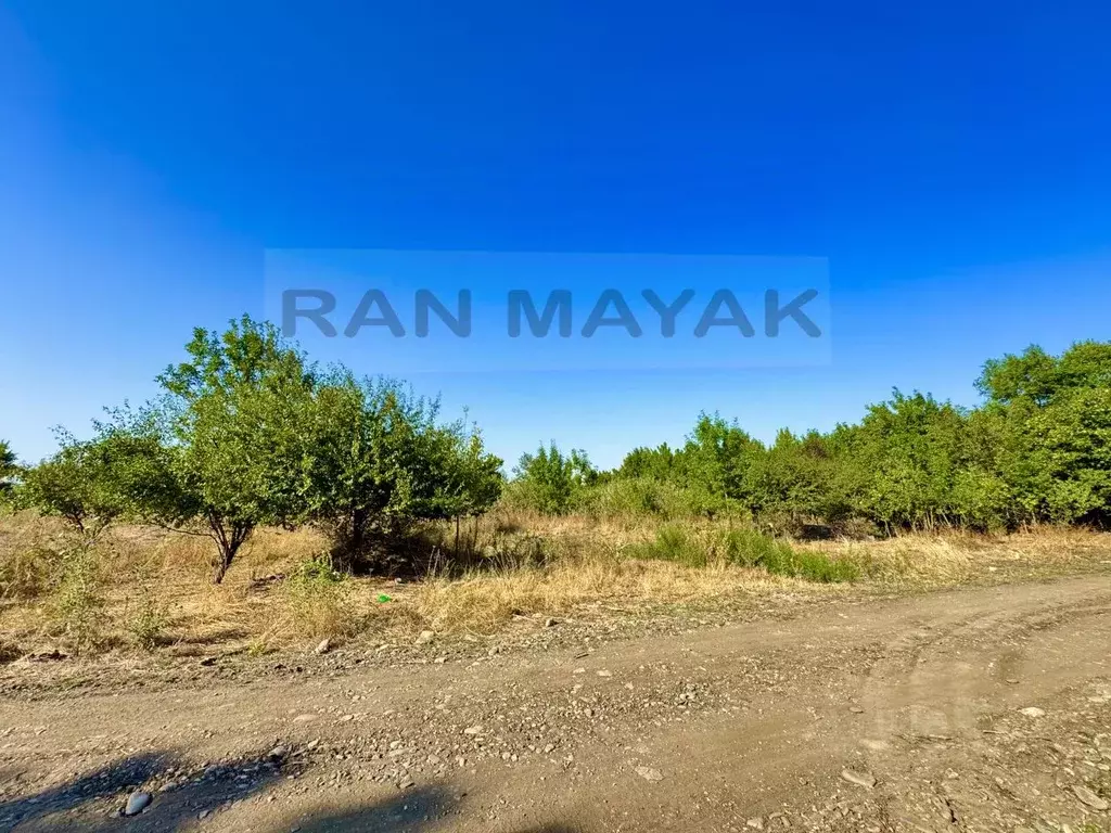 Участок в Адыгея, Майкоп городской округ, пос. Северный ул. Новая ... - Фото 1
