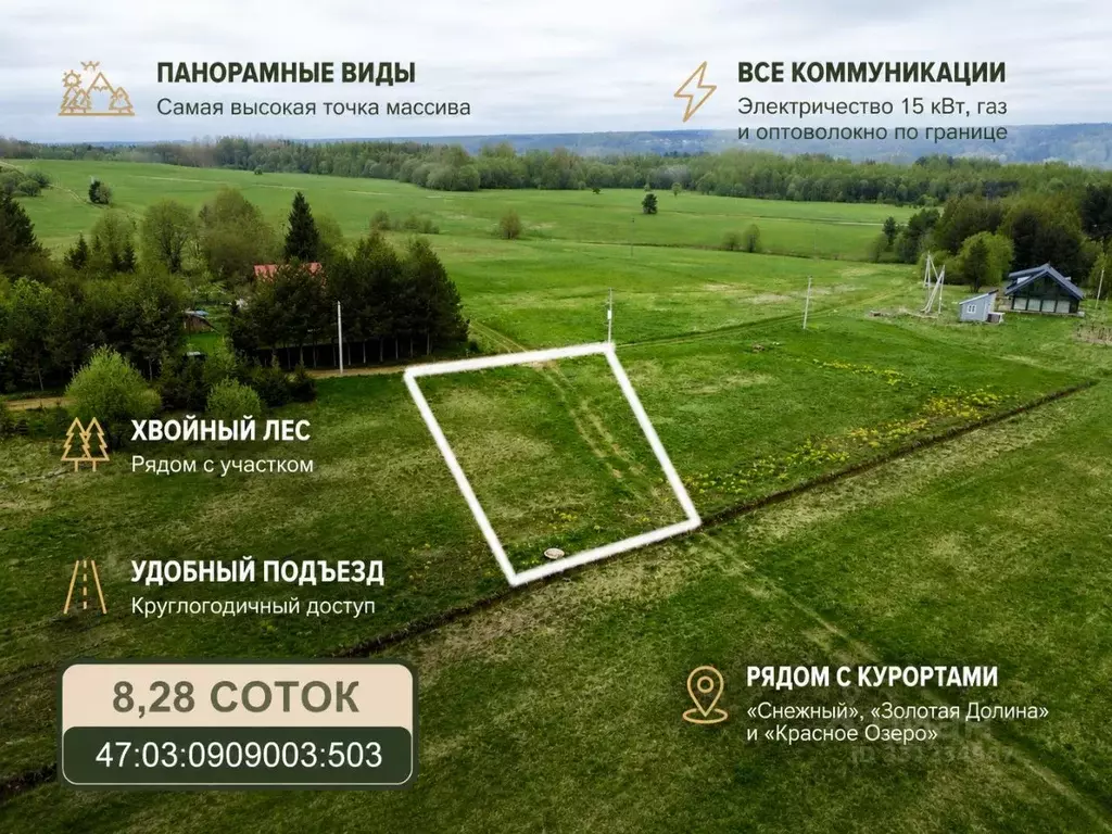 Участок в Ленинградская область, Приозерский район, Красноозерное ... - Фото 2