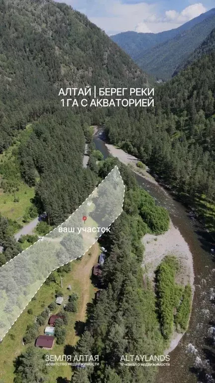 Участок в Алтай, Чемальский район, Ареда урочище  (1.0 га.) - Фото 2