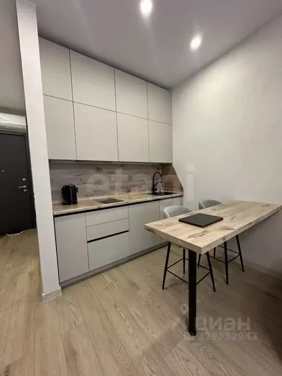 Студия Новосибирская область, Новосибирск Красный просп., 220 (27.0 м) - Фото 1