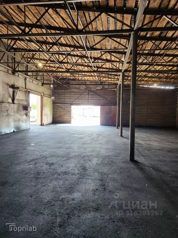 Склад в Алтайский край, Барнаул Молодежная ул., 172 (340 м) - Фото 1