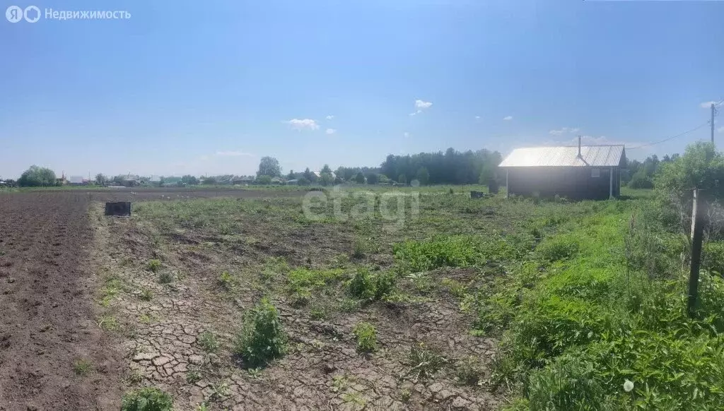 Участок в Зоркальцевское сельское поселение, деревня Берёзкино, улица ... - Фото 1