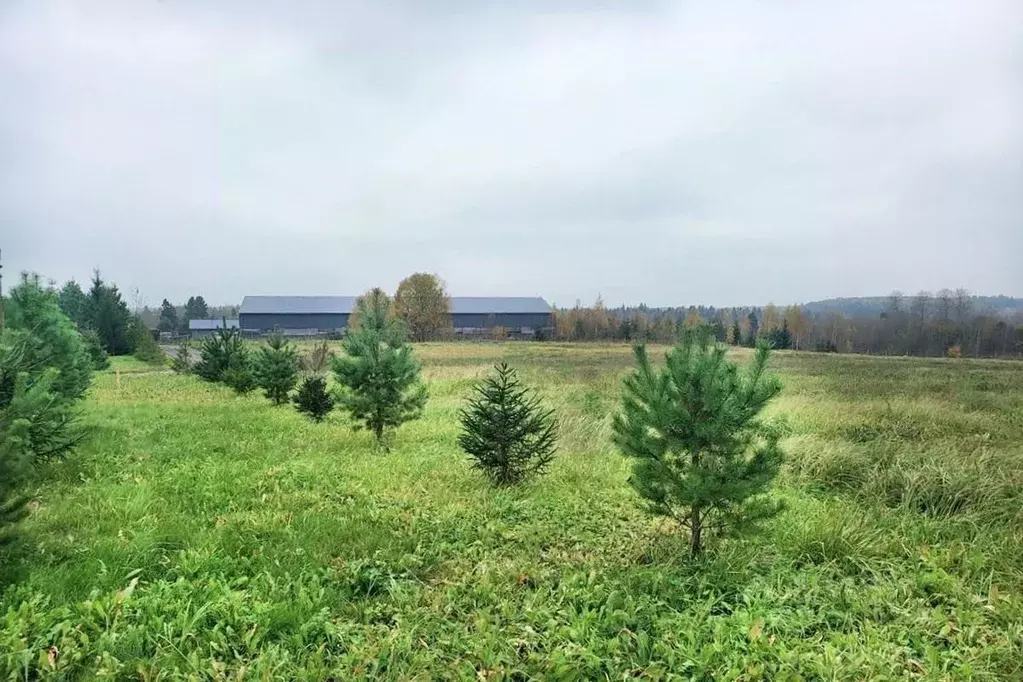 Участок в Московская область, Дмитровский муниципальный округ, д. ... - Фото 1