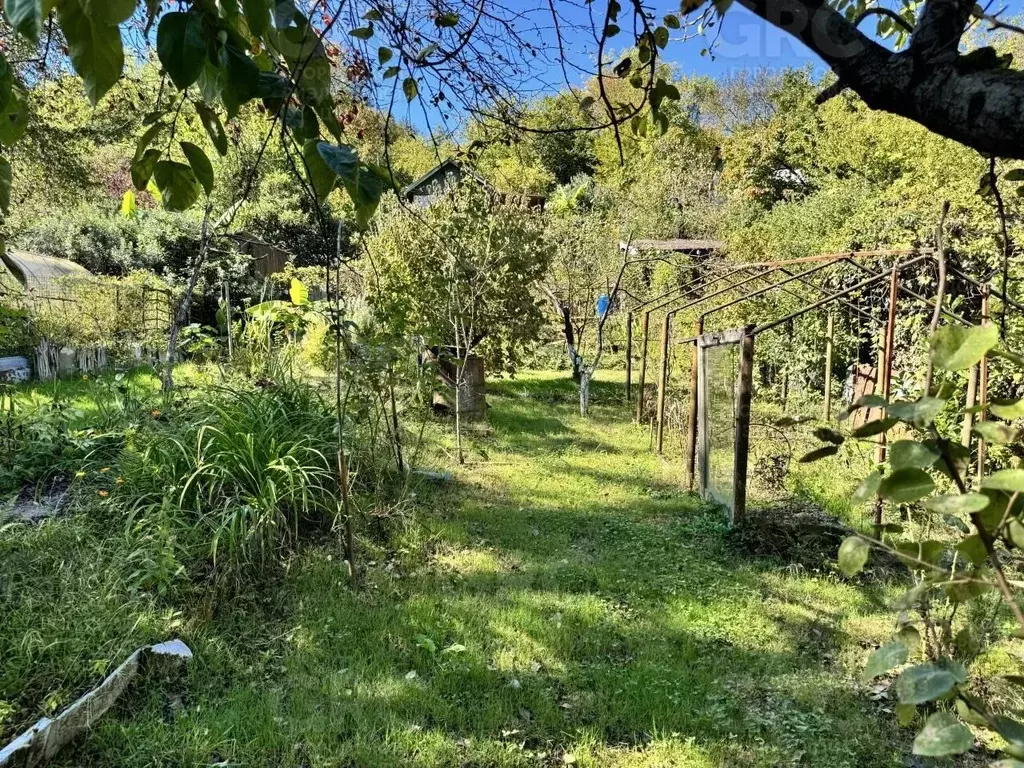 Участок в Краснодарский край, Сочи городской округ, с. Пластунка, Лира ... - Фото 2