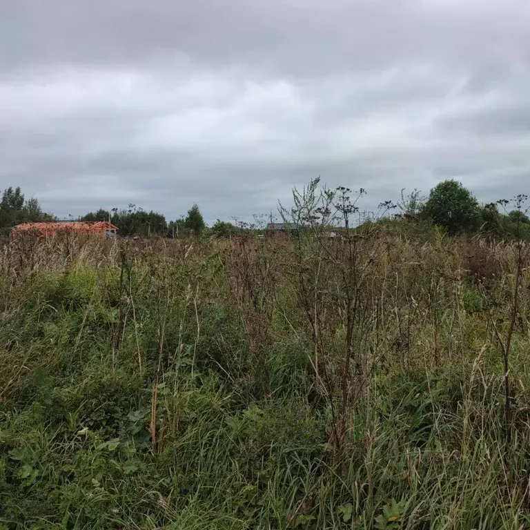 Участок в Московская область, Павлово-Посадский городской округ, д. ... - Фото 0