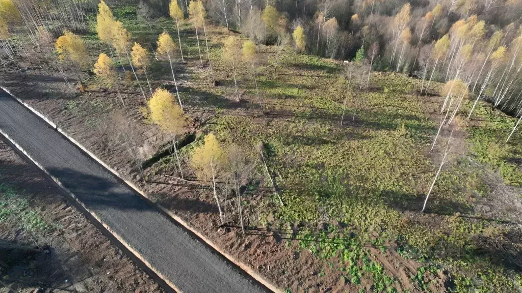 Участок в Московская область, Клин городской округ, д. Покров  (6.2 ... - Фото 0