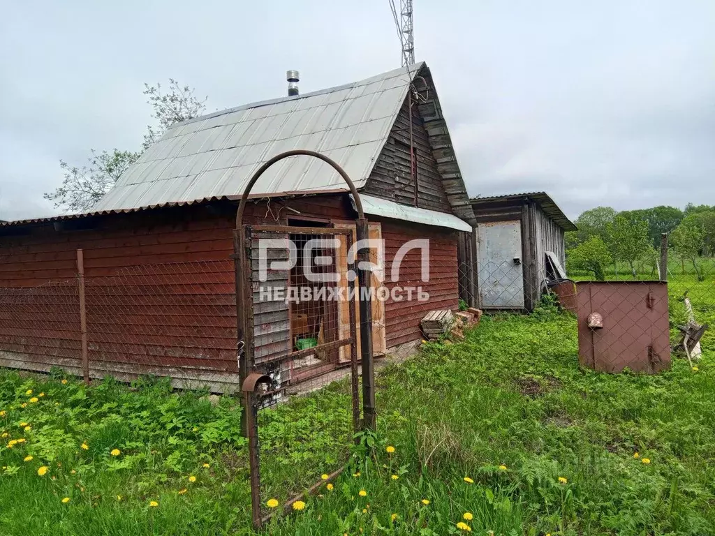 Участок в Ленинградская область, Волосовский район, Большеврудское ... - Фото 2