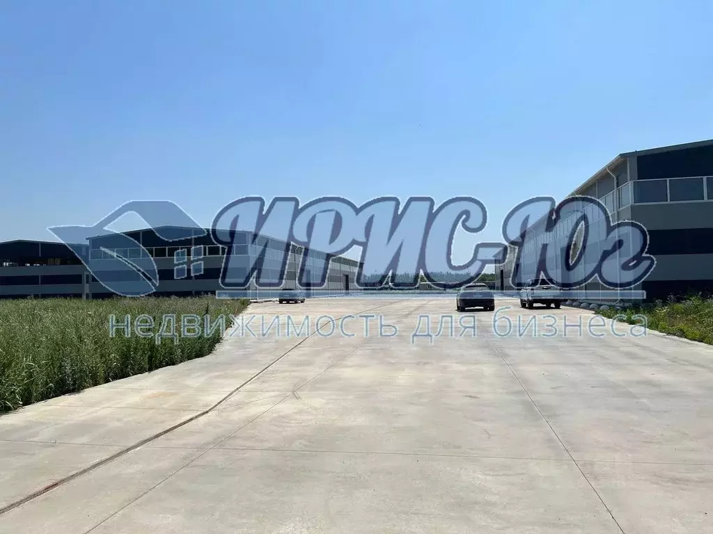 Склад в Краснодарский край, Краснодар пос. Дружелюбный, ул. ... - Фото 2