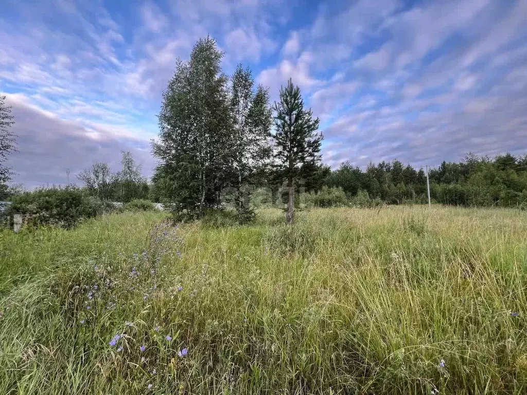 Участок в Курганская область, Курган пос. Теплый Стан, ул. 4-я ... - Фото 1