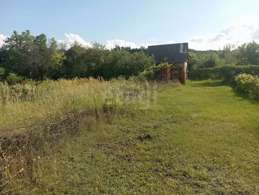 Участок в Белгородская область, Губкин Журавушка СТ,  (6.55 сот.) - Фото 1