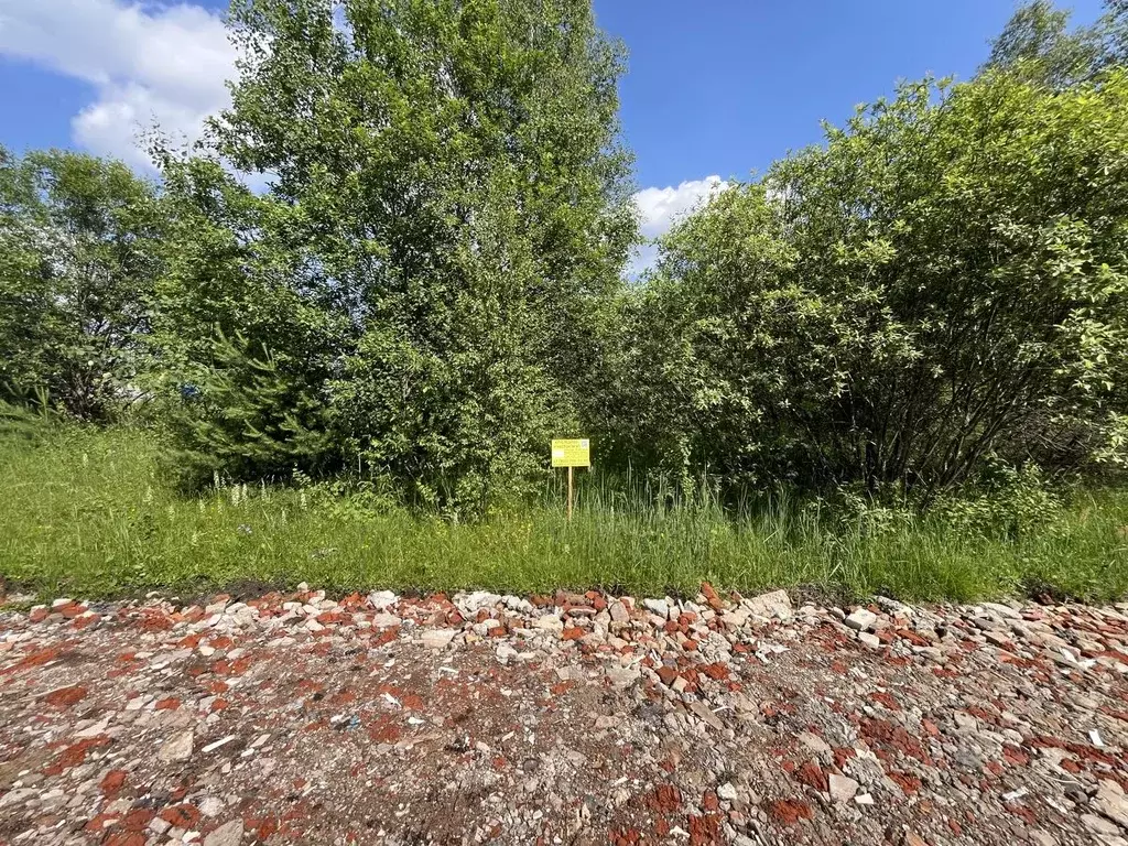 Участок в Московская область, Богородский городской округ, Следово кп ... - Фото 1