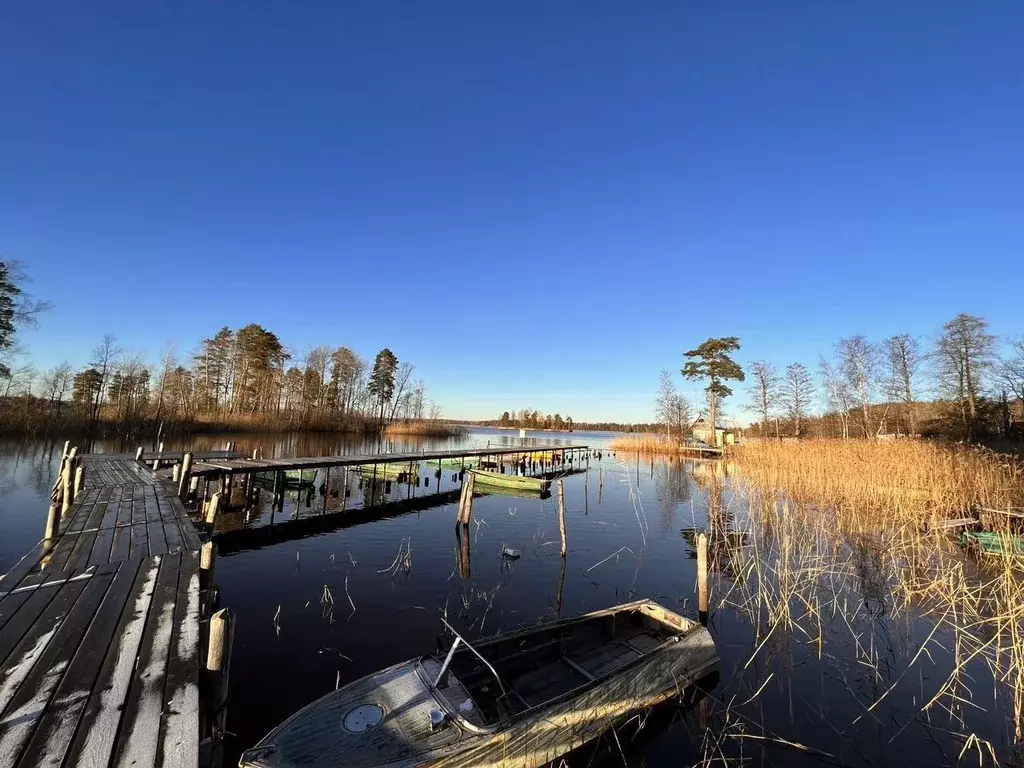 Участок в Ленинградская область, Приозерский район, Ларионовское с/пос ... - Фото 1