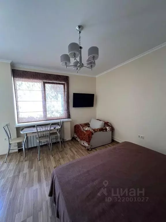 Студия Крым, Евпатория ул. Огородническая, 3А (30.0 м) - Фото 1