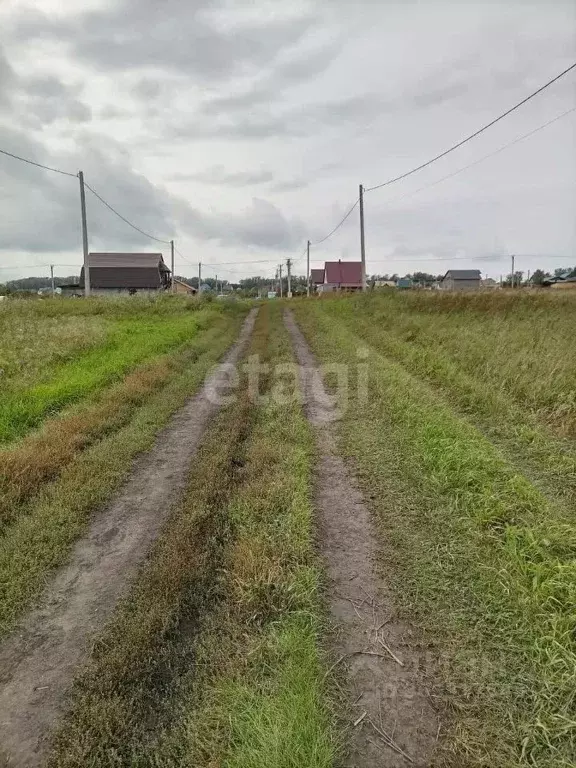 Участок в Алтайский край, Барнаул городской округ, пос. Центральный ... - Фото 1