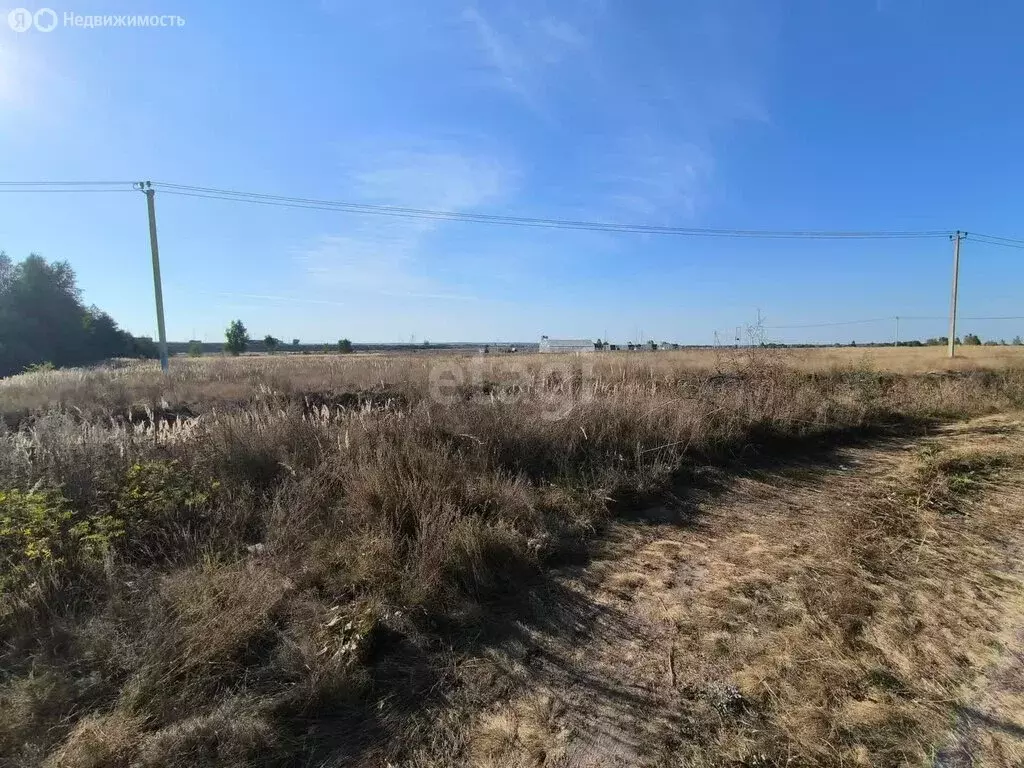 Участок в Московская область, городской округ Коломна, село Нижнее ... - Фото 0