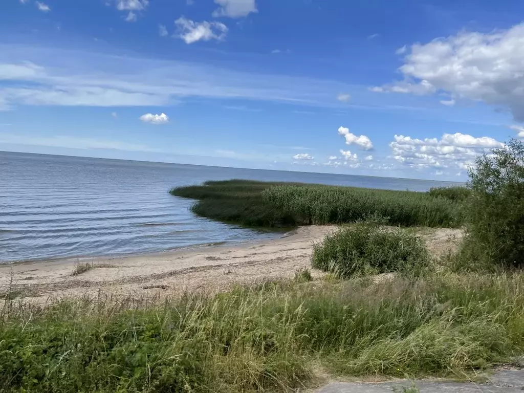 Участок в Калининградская область, Полесский муниципальный округ, пос. ... - Фото 1