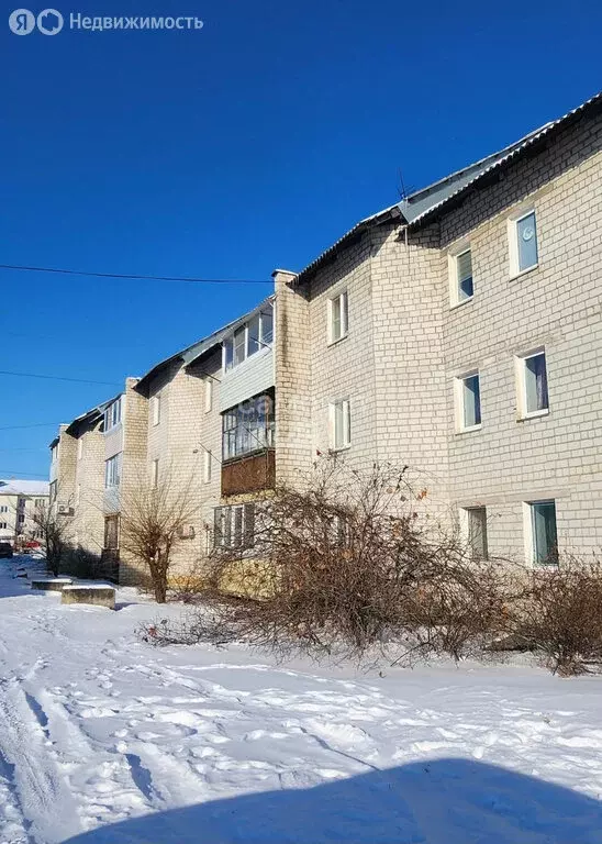 2-комнатная квартира: посёлок Приамурский, Амурская улица, 6 (54.9 м) - Фото 1