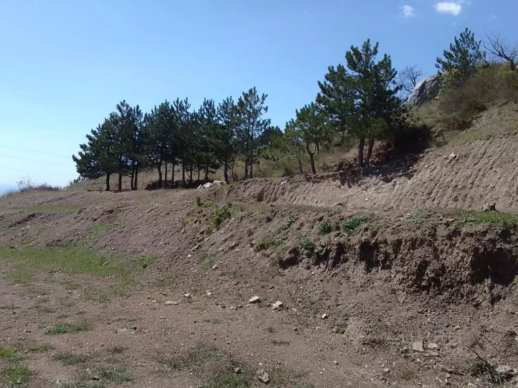 Участок в Крым, Ялта городской округ, с. Оползневое ул. Пограничная ... - Фото 1